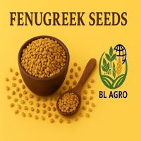 FENUGREEK SEEDS